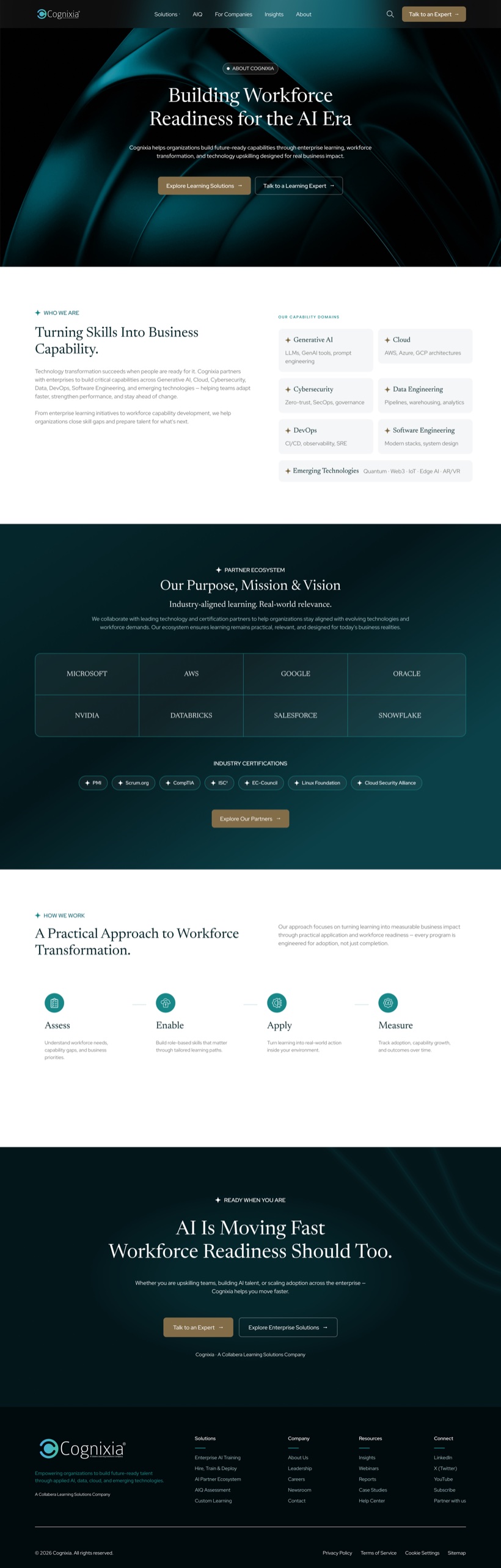 Cognixia about us page